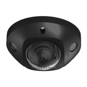 DS-2CD2546G2-IS(C)(BLACK) (2.8mm)