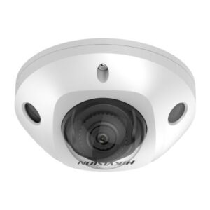 DS-2CD2543G2-IS (4.0mm)