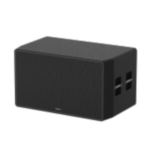 DS-QAPS1R160-18DU — Pro Динамик